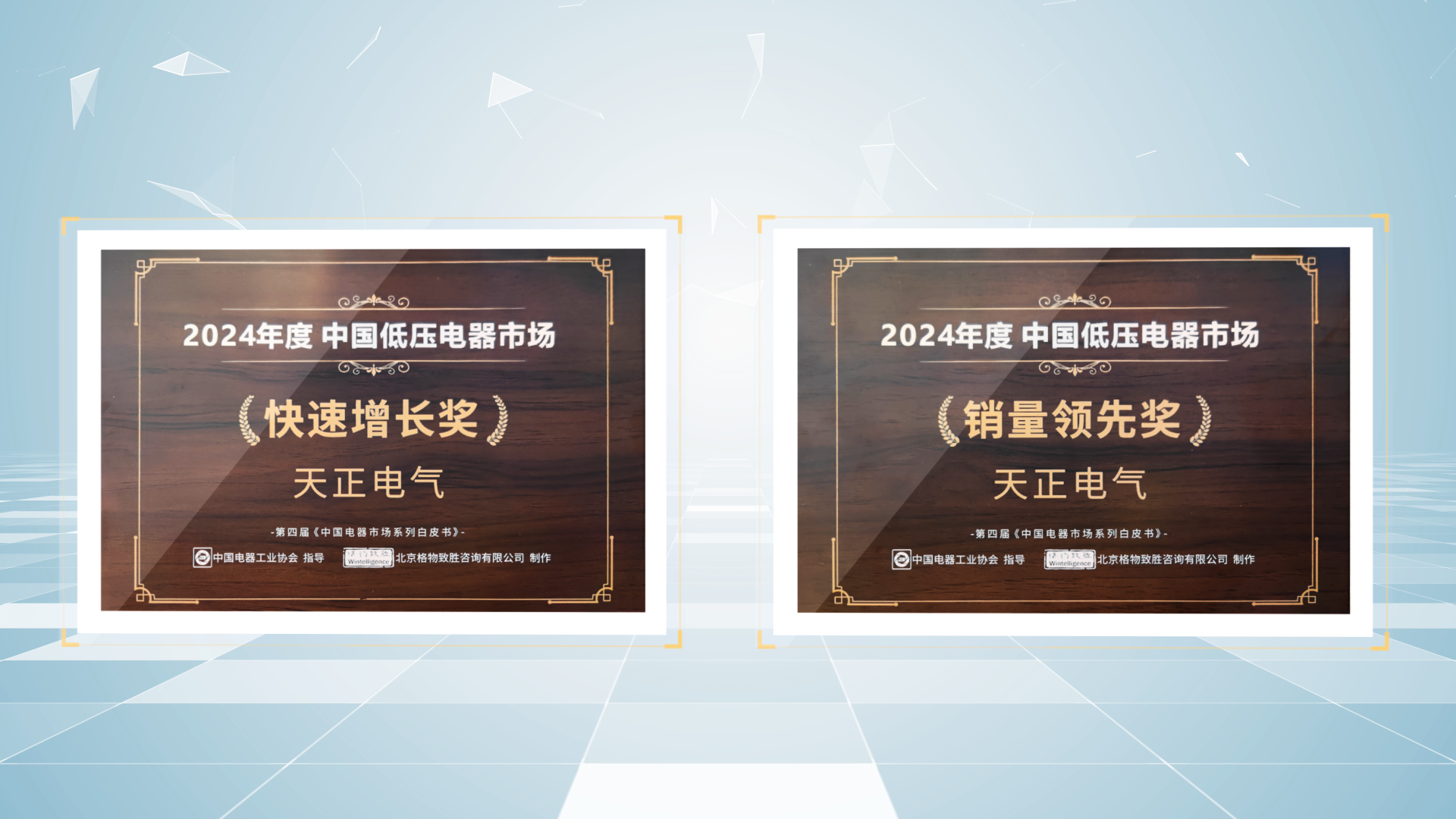 销量领先、快速增长丨pg夺宝赏金女王荣膺2项行业年度大奖